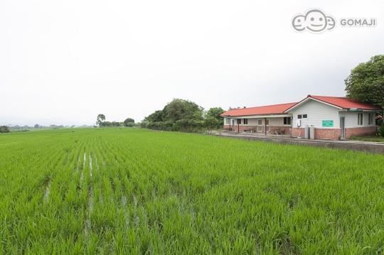 דירות Tianfu Mian-Nao Education Leisure Farm מראה חיצוני תמונה